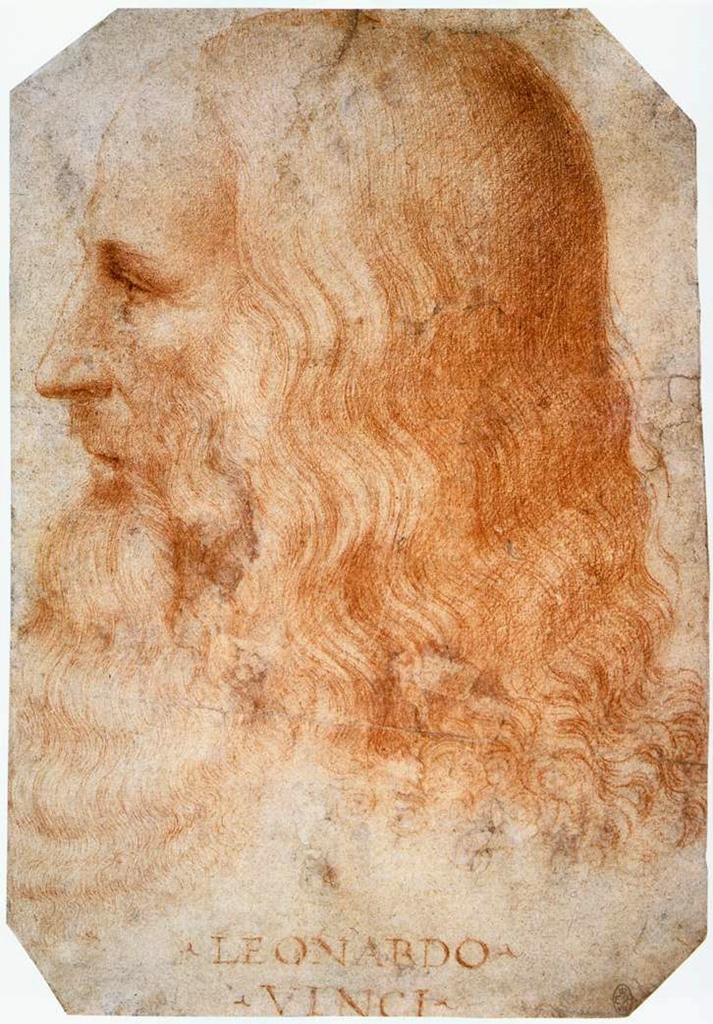 Leonardo da Vinci (not young)